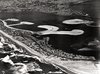 mb arial view mission beach park 1947