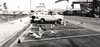 crystal pier gulls 2 1972