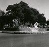 pb parage float  bw